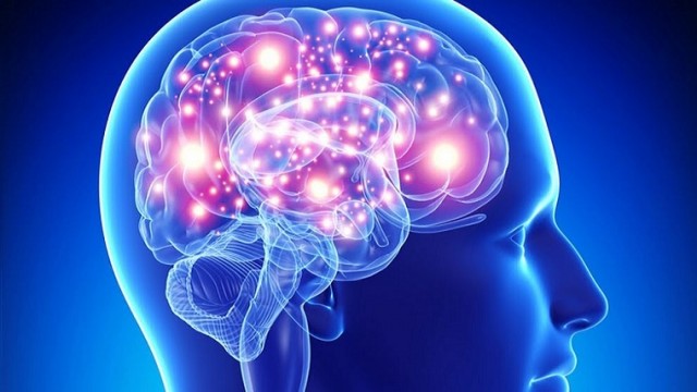 Conciencia en tu vida: ¿Qué es la Neuroplasticidad?