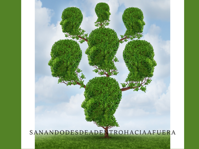 ¿Qué es el árbol transgeneracional?