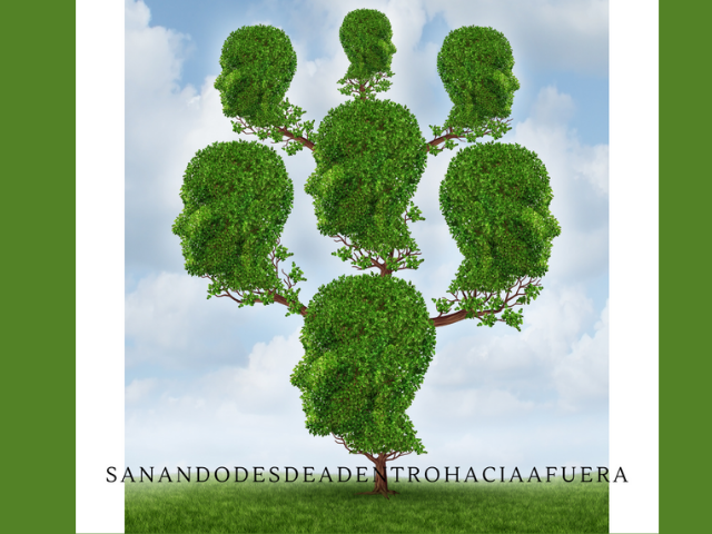 arbol- transgeneracional