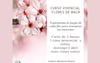 CURSO VIVENCIAL FLORES DE BACH EN BARCELONA