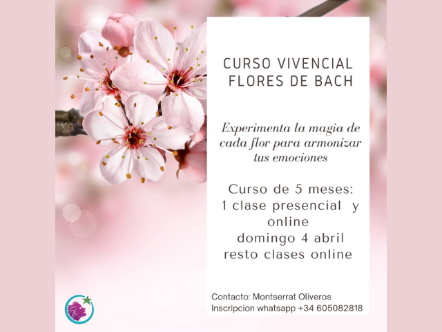 CURSO VIVENCIAL FLORES DE BACH EN BARCELONA