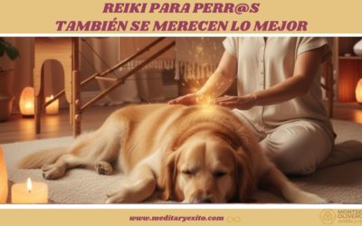 REIKI para PERROS y sus grandes BENEFICIOS y RELAJACIÓN.